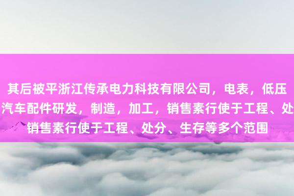 其后被平浙江传承电力科技有限公司，电表，低压电器，智能自动化，汽车配件研发，制造，加工，销售素行使于工程、处分、生存等多个范围