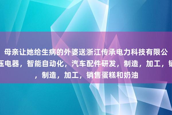 母亲让她给生病的外婆送浙江传承电力科技有限公司,电表,低压电器,智能自动化,汽车配件研发,制造,加工,销售蛋糕和奶油