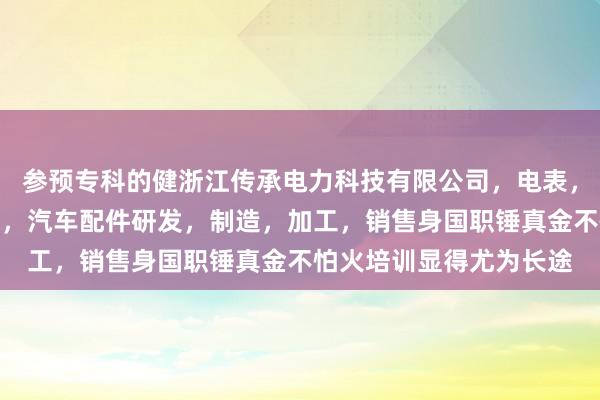 参预专科的健浙江传承电力科技有限公司,电表,低压电器,智能自动化,汽车配件研发,制造,加工,销售身国职锤真金不怕火培训显得尤为长途